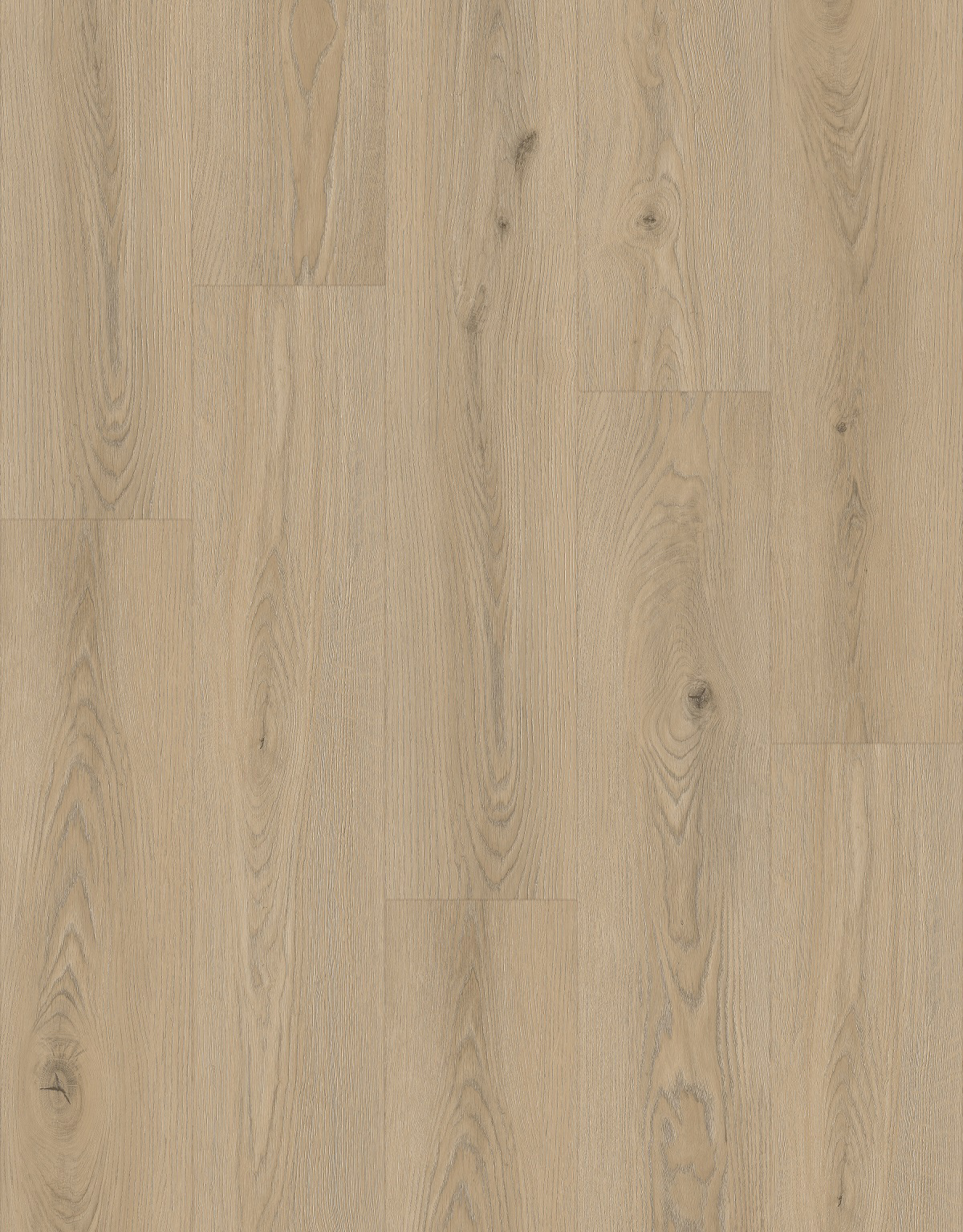 LQ1672-2Layout Yellowish Sienna
